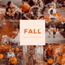FALL | Presets by Maxine Stevens
