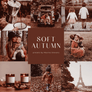 SOFT AUTUMN | Presets by Maxine Stevens