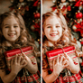SANTA | Presets by Maxine Stevens