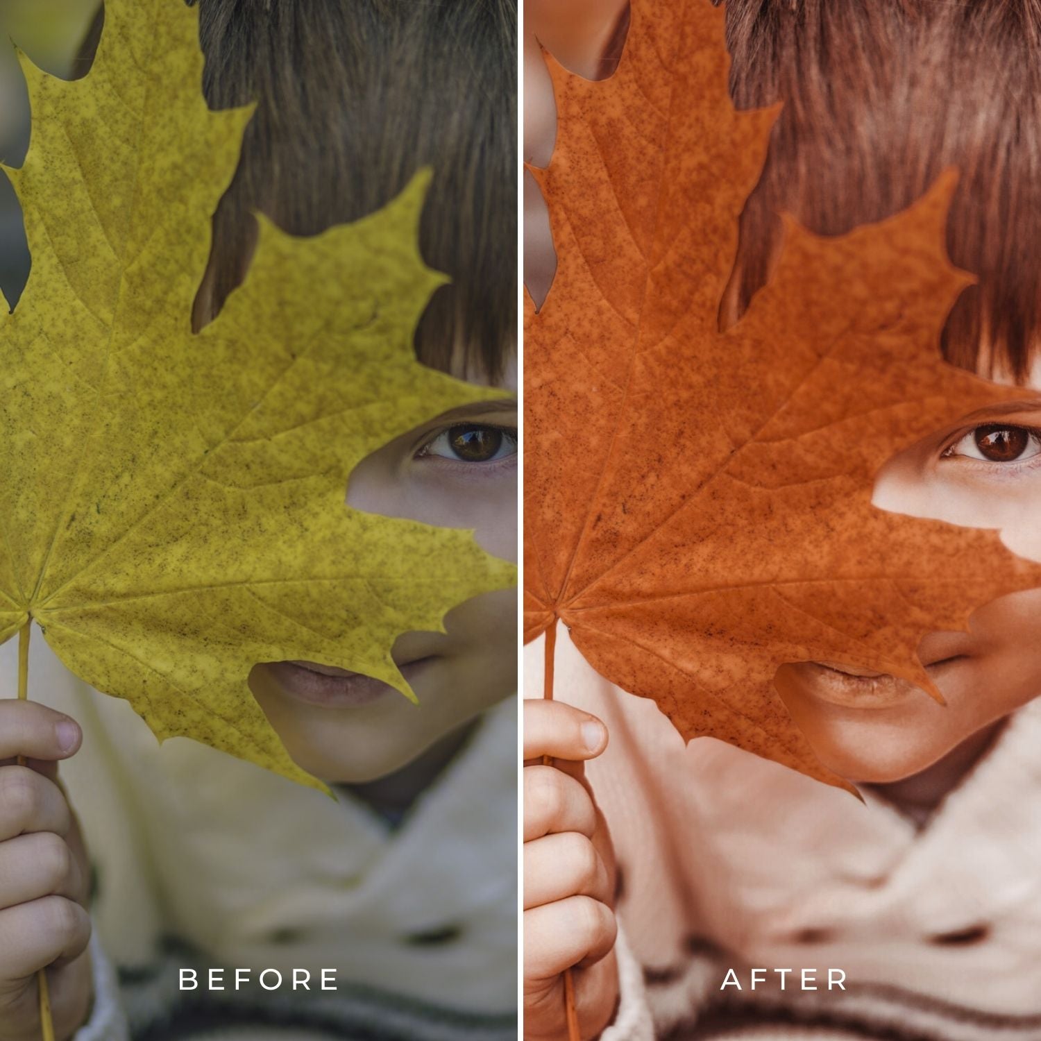 FALL | Presets by Maxine Stevens