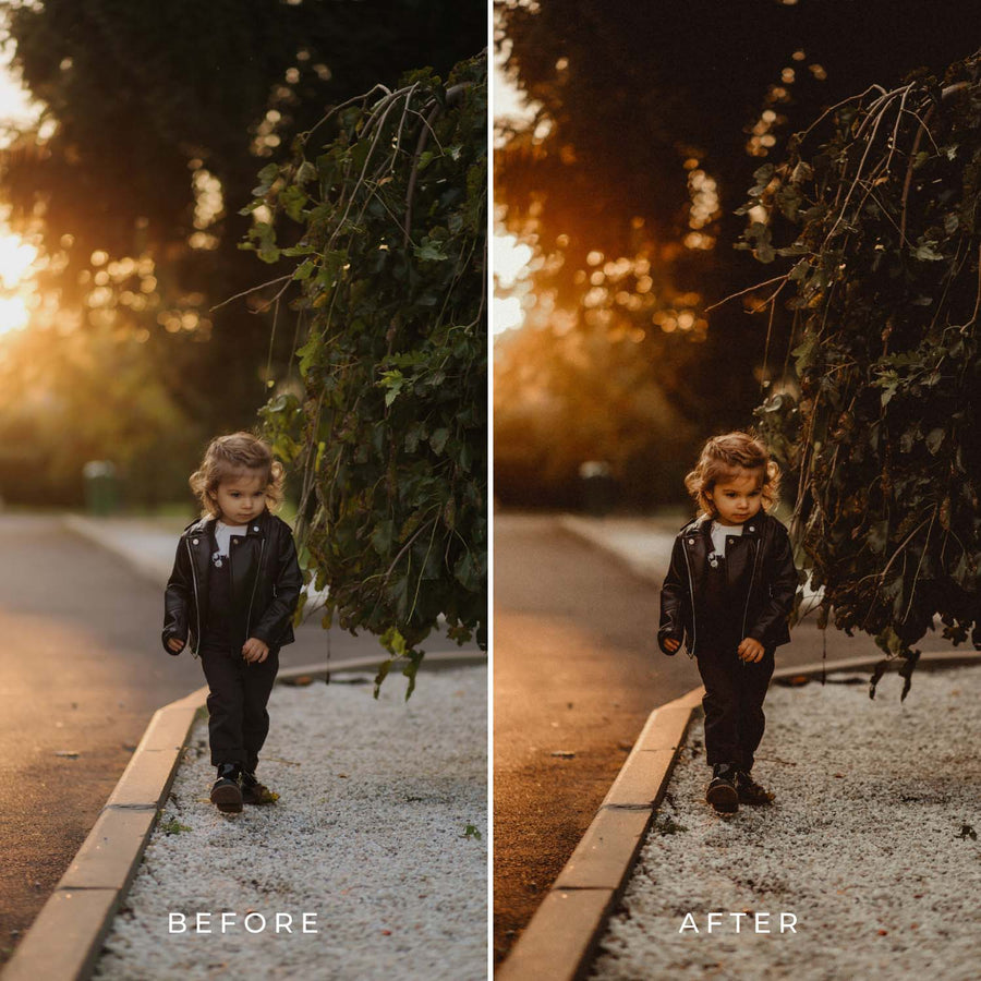 ANALOGUE | Presets by Maxine Stevens