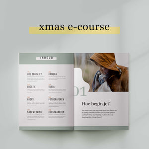 XMAS Maak de mooiste kerstfoto's! | E-course by Maxine Stevens